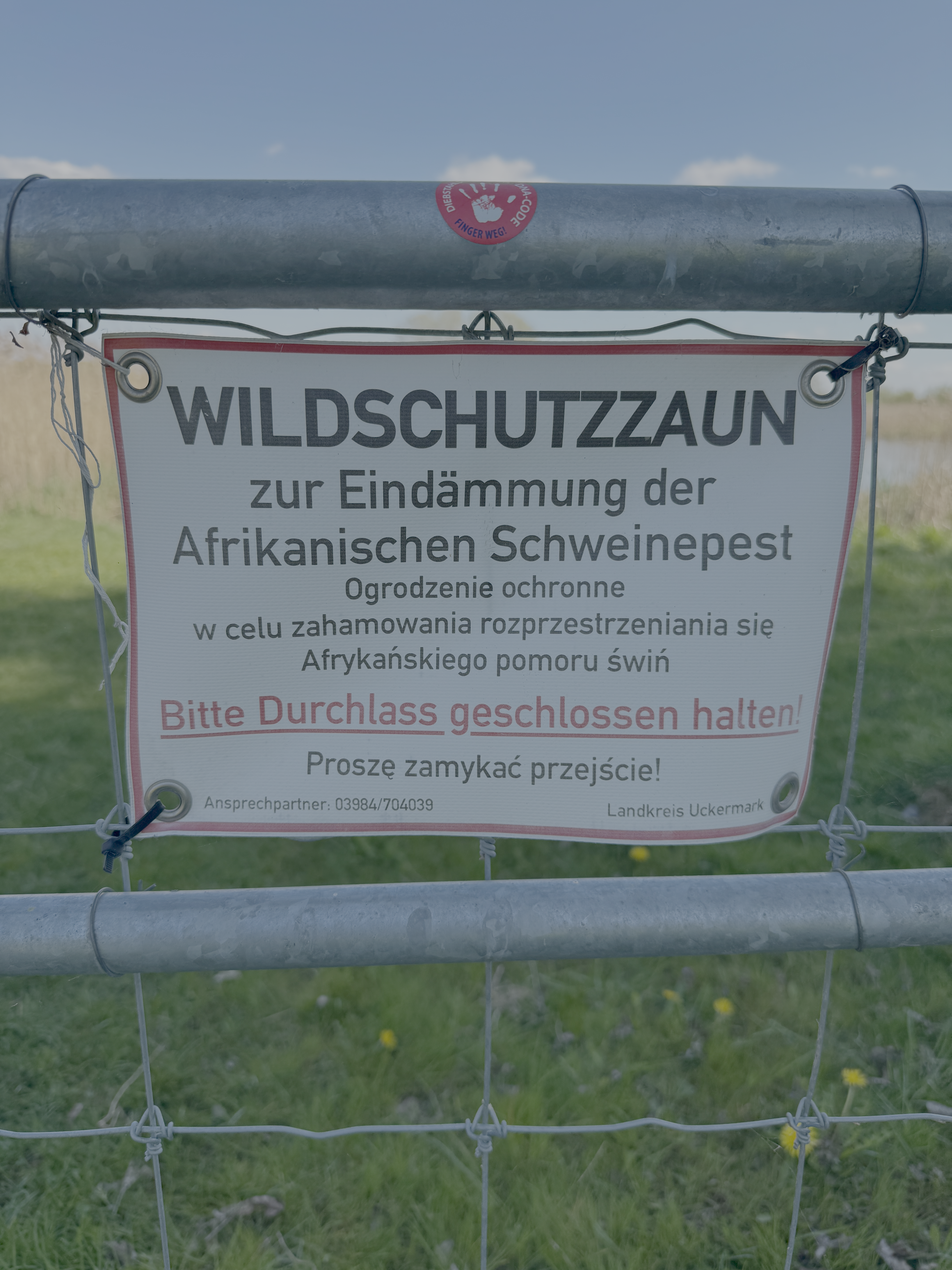 Tore schließen – Schweine vor Seuchen schützen