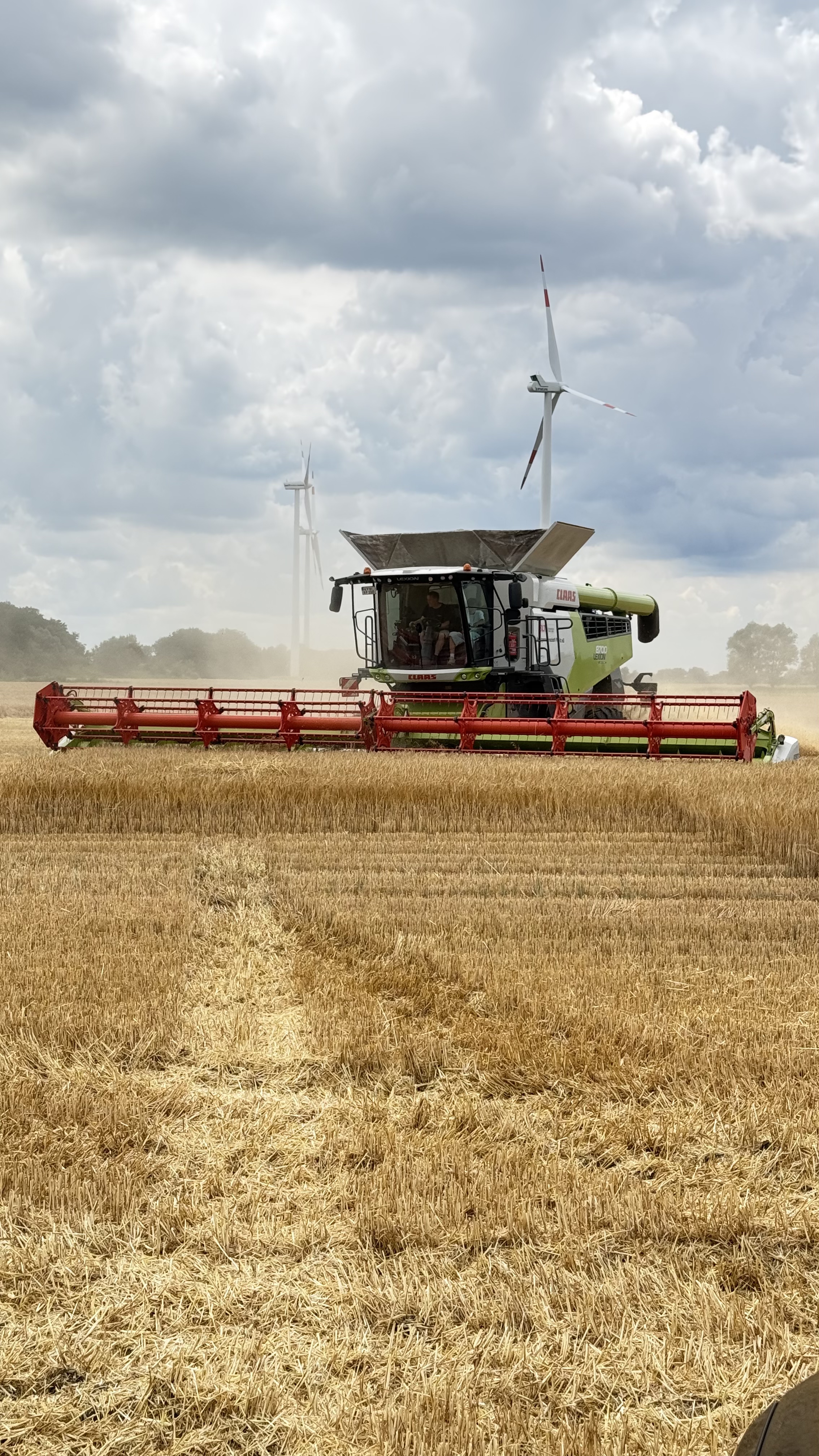 Zwischen Freude und Frust: Ernteauftakt in Brandenburg