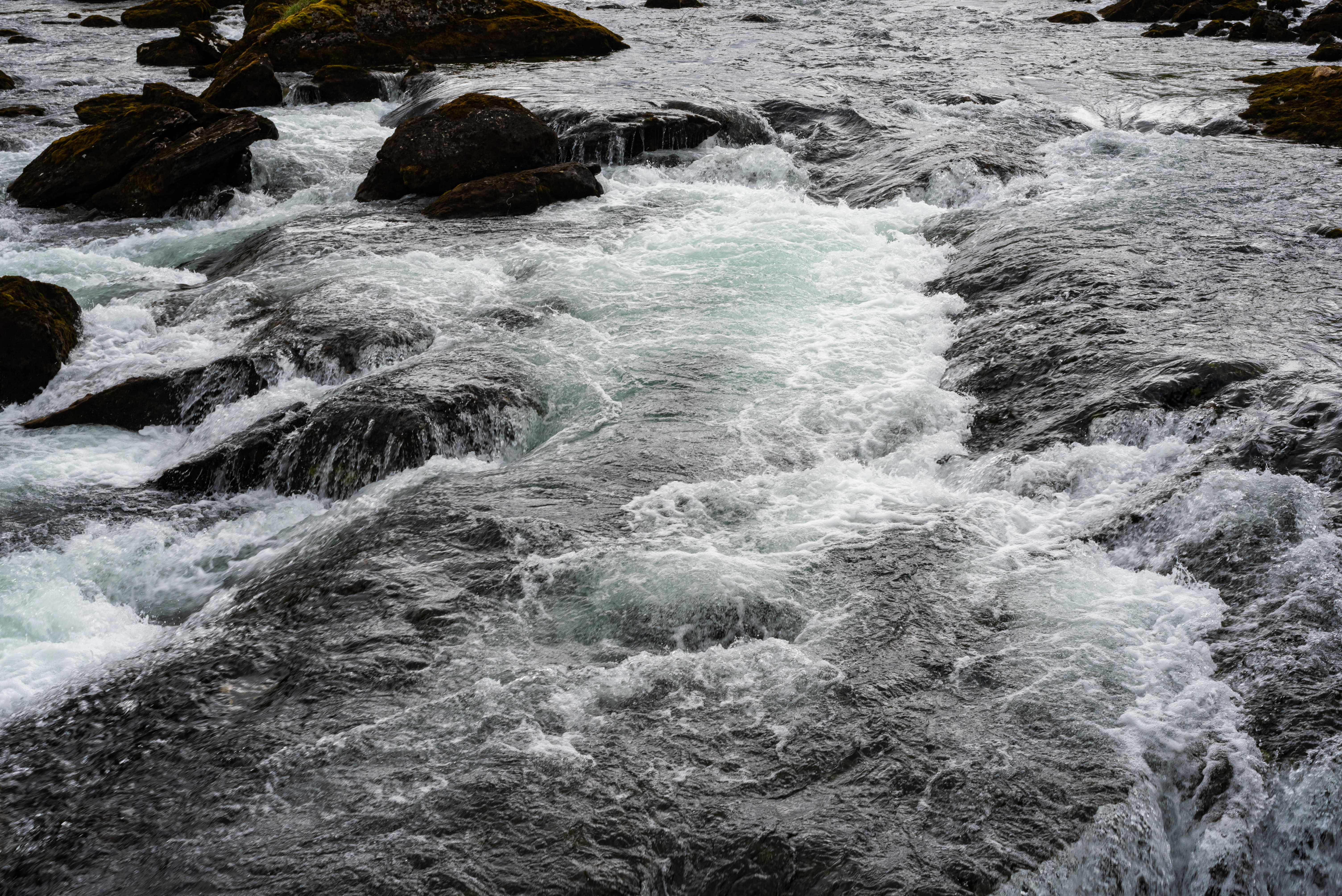 Weltwassertag 2026: „Made in Brandenburg“ braucht Wasser – und klare Regeln für die Zukunft 