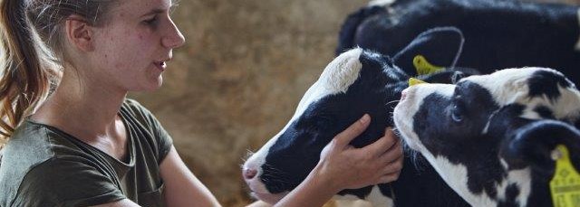 Milchproduktion und Tierwohl gehen in Brandenburg Hand in Hand