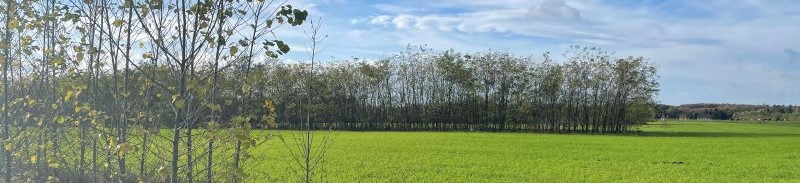 Humusaufbau per Verordnung ist nicht möglich