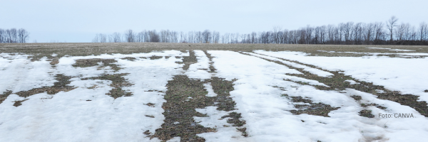 Frühjahrsdüngung auf gefrorenem Boden